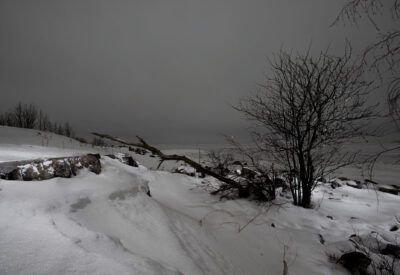 paisaje nevado y oscuro
