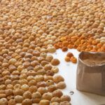 insalación de naranjas de Sari Koski-Vähälä