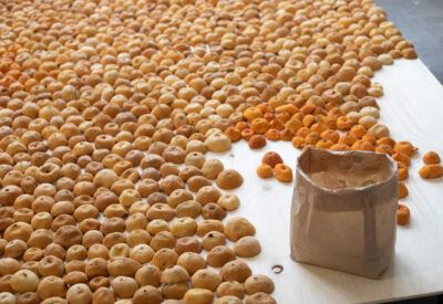 insalación de naranjas de Sari Koski-Vähälä