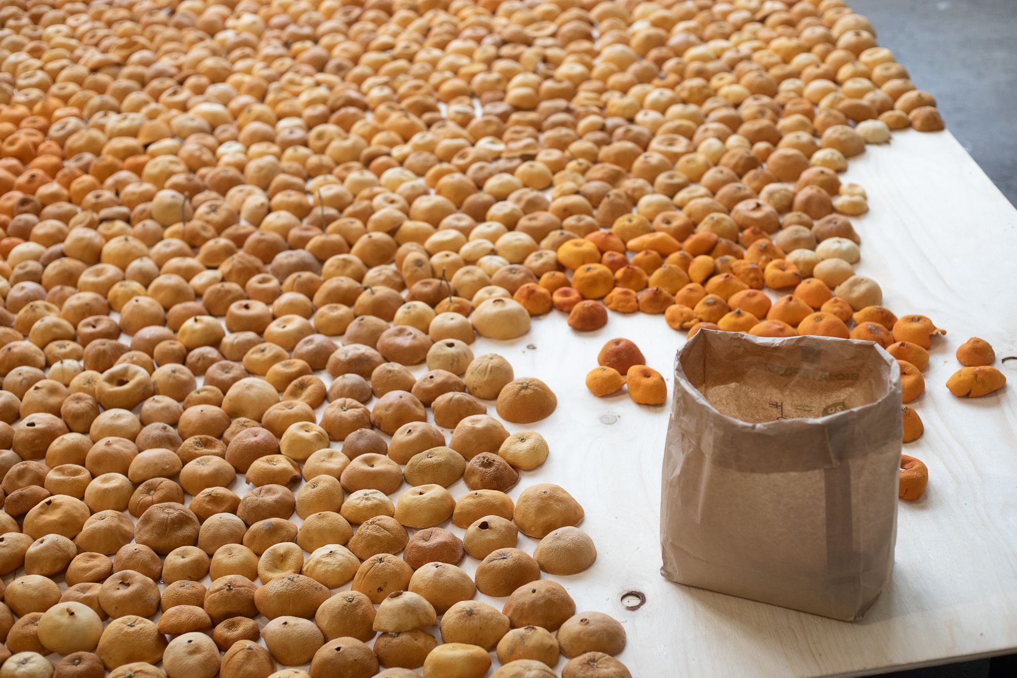 insalación de naranjas de Sari Koski-Vähälä